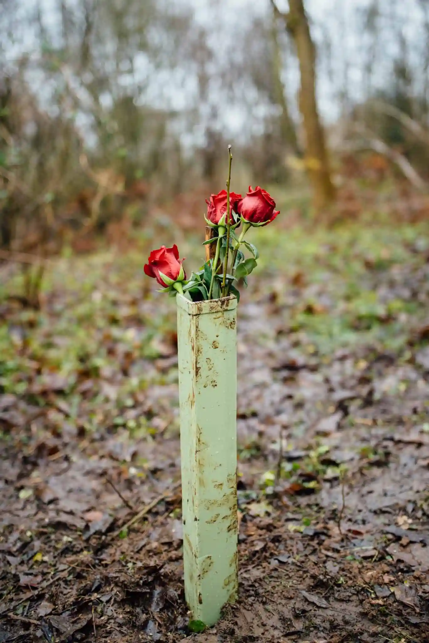 FOM-planting-285