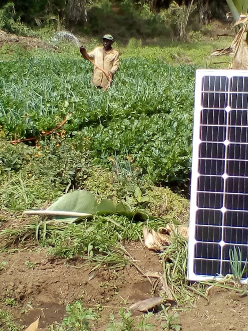 watering Vegetables SWP
