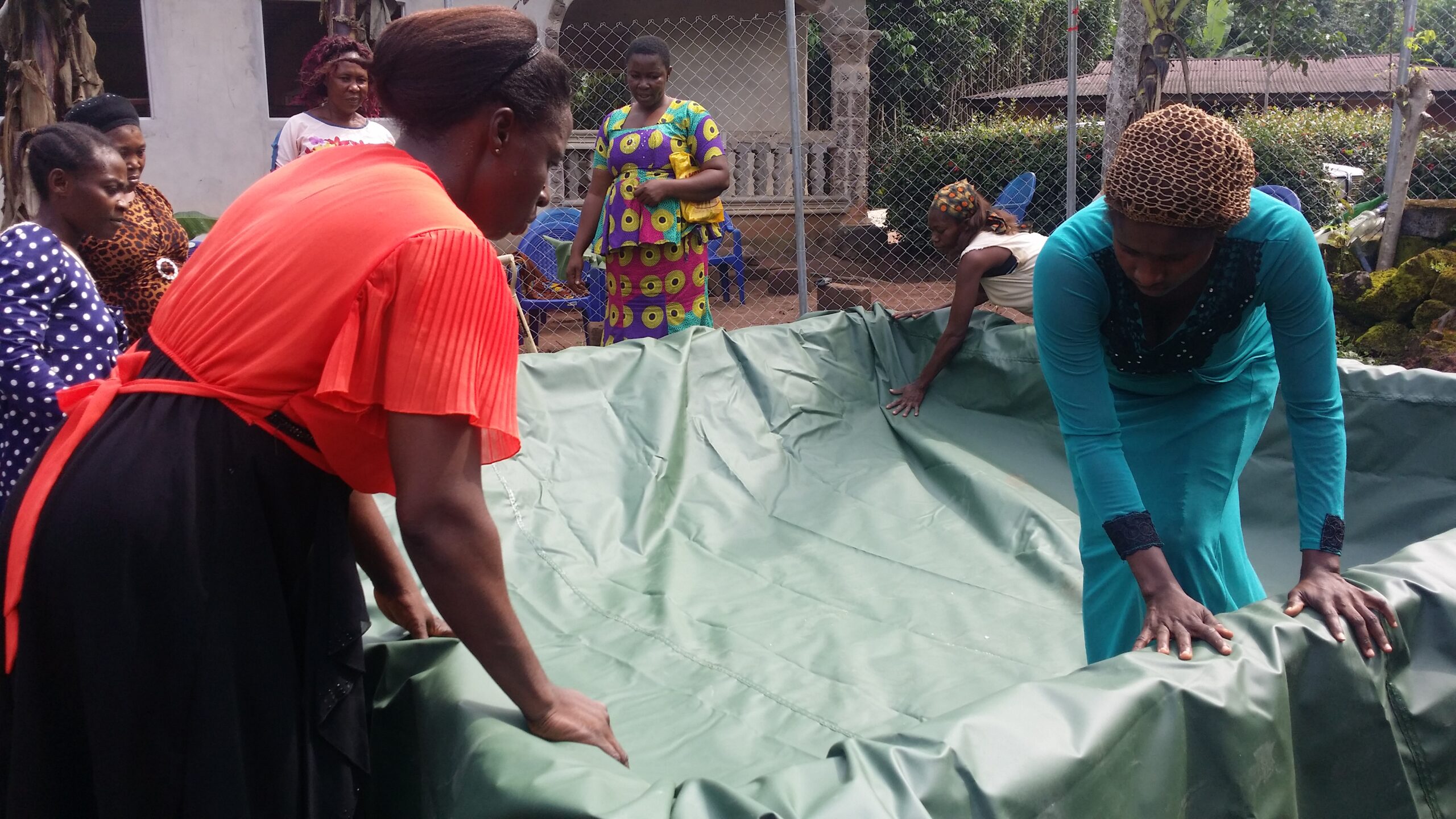 WAFA Winner 2019 Food Category_ People & Planet Life Foundation, Fish Farm Project, Nigeria