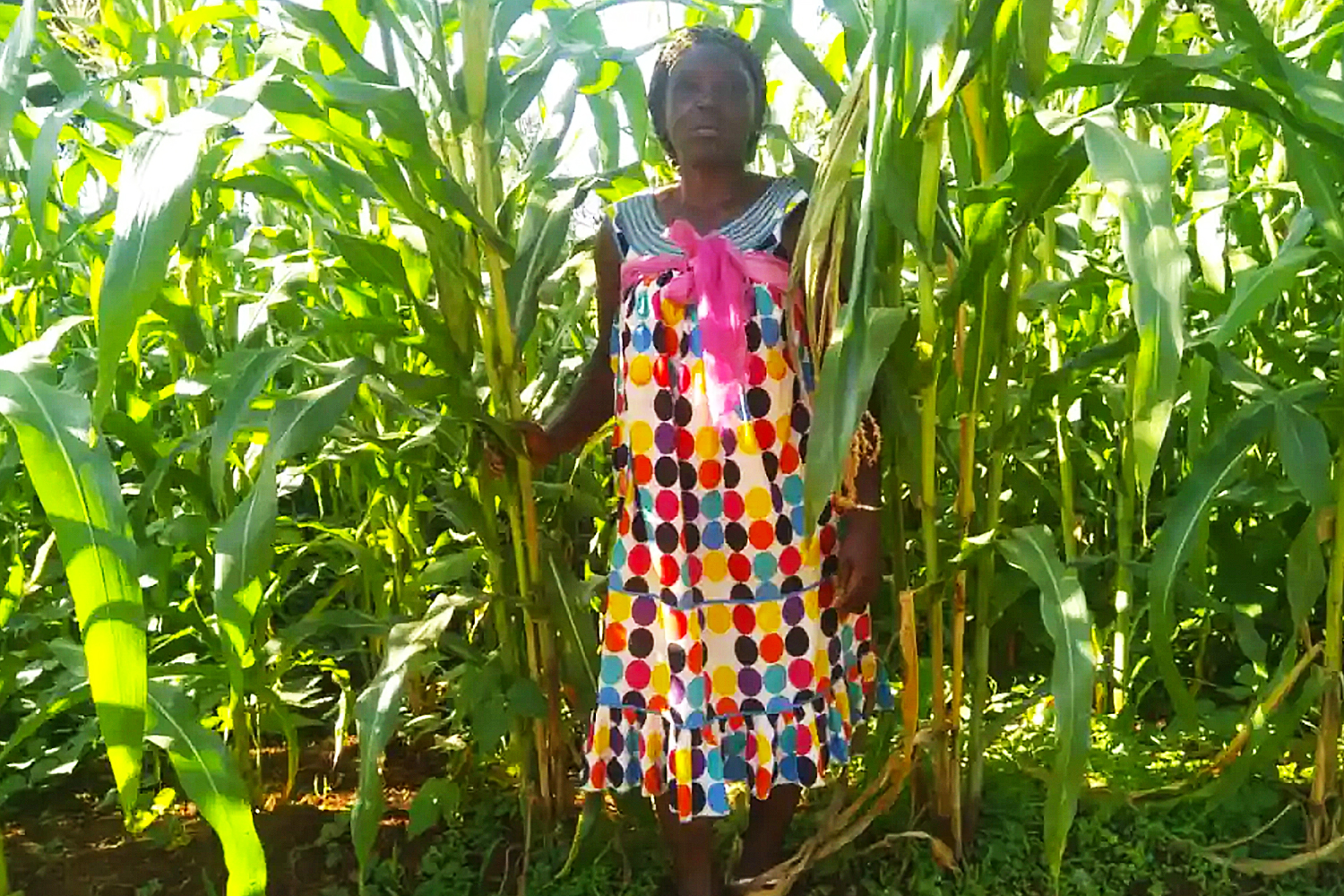 Community Agriculture and Environmental Protection Association, Cameroon YOUTH 4