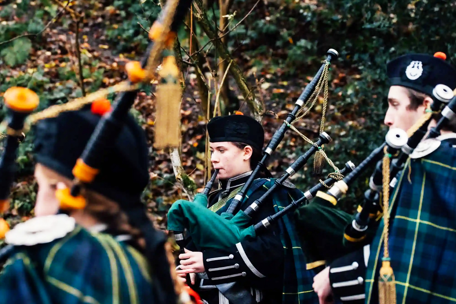 Forest of Memories, UK AIR 2