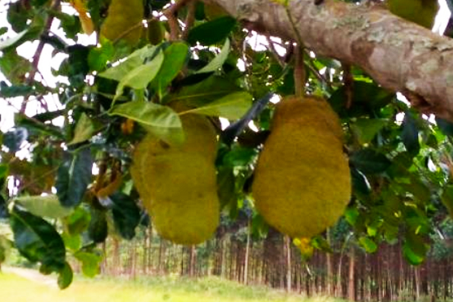 WAFA-Water-Warrior when the rain stopped 3